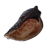 Empty dabshell signed pocket