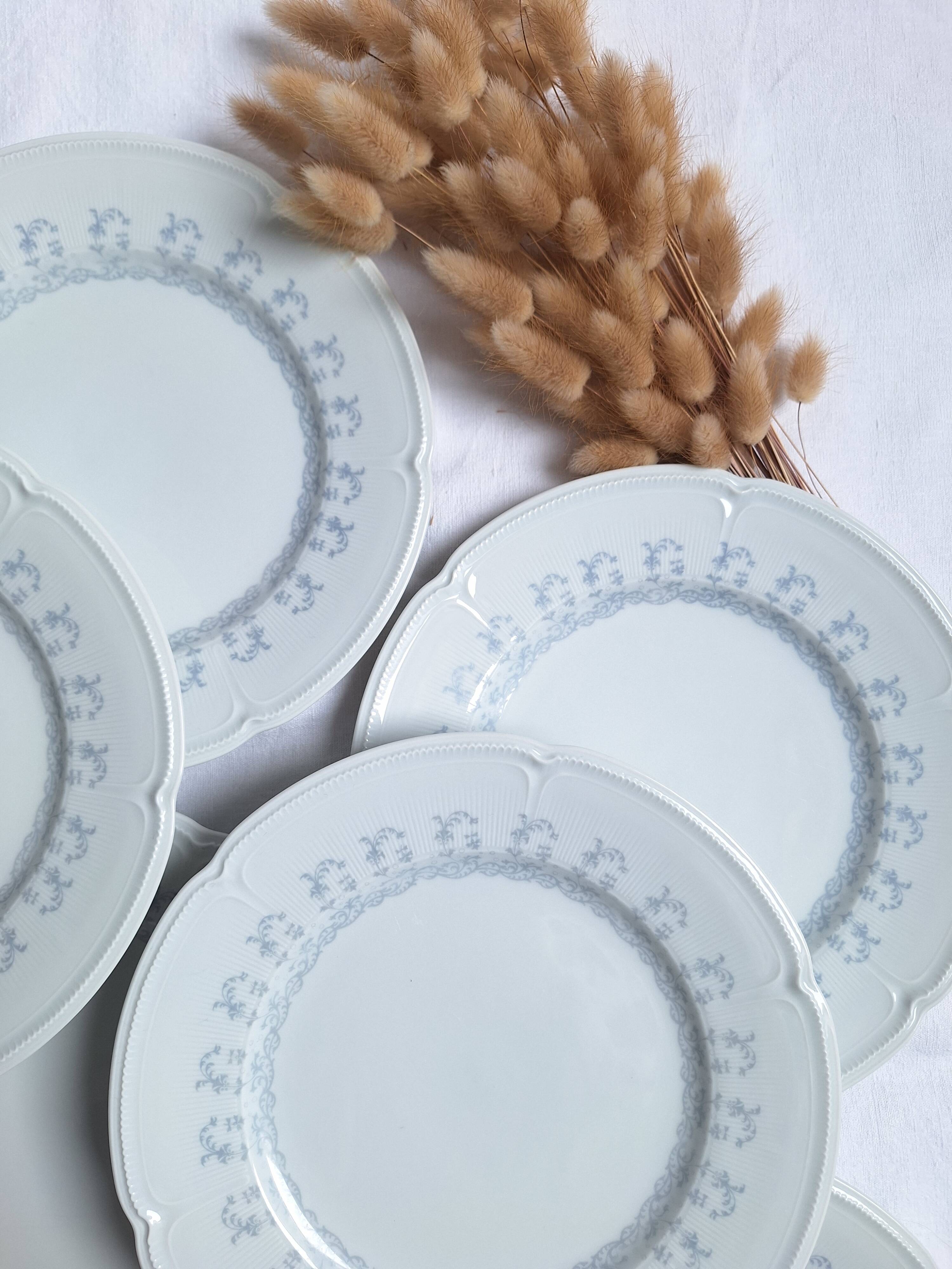 Limoges porcelain flat plates
