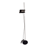 Vico Magistretti Floor Lamp