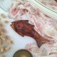 Wooden fish box