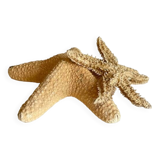 Vintage starfish