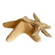 Vintage starfish