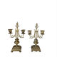 Pair of gilded bronze candlesticks in the Napoleon III style.