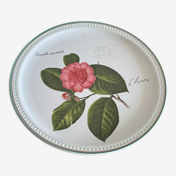 Assiette Villeroy et Boch décor camélia rose