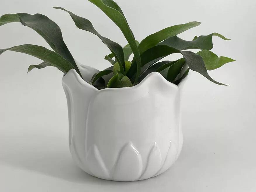 Cache-pot vintage en forme de tulipe en porcelaine blanche