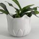Cache-pot vintage en forme de tulipe en porcelaine blanche