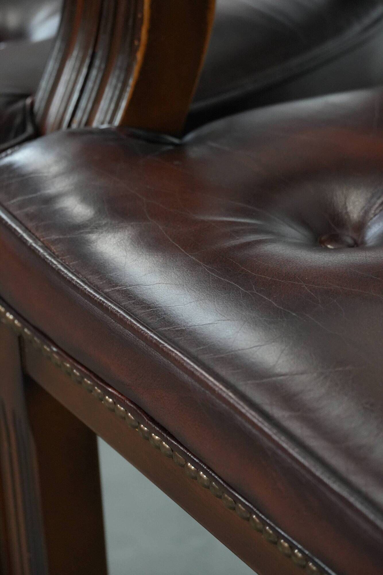 Set of two brown leather Chesterfield dining chairs in English style.