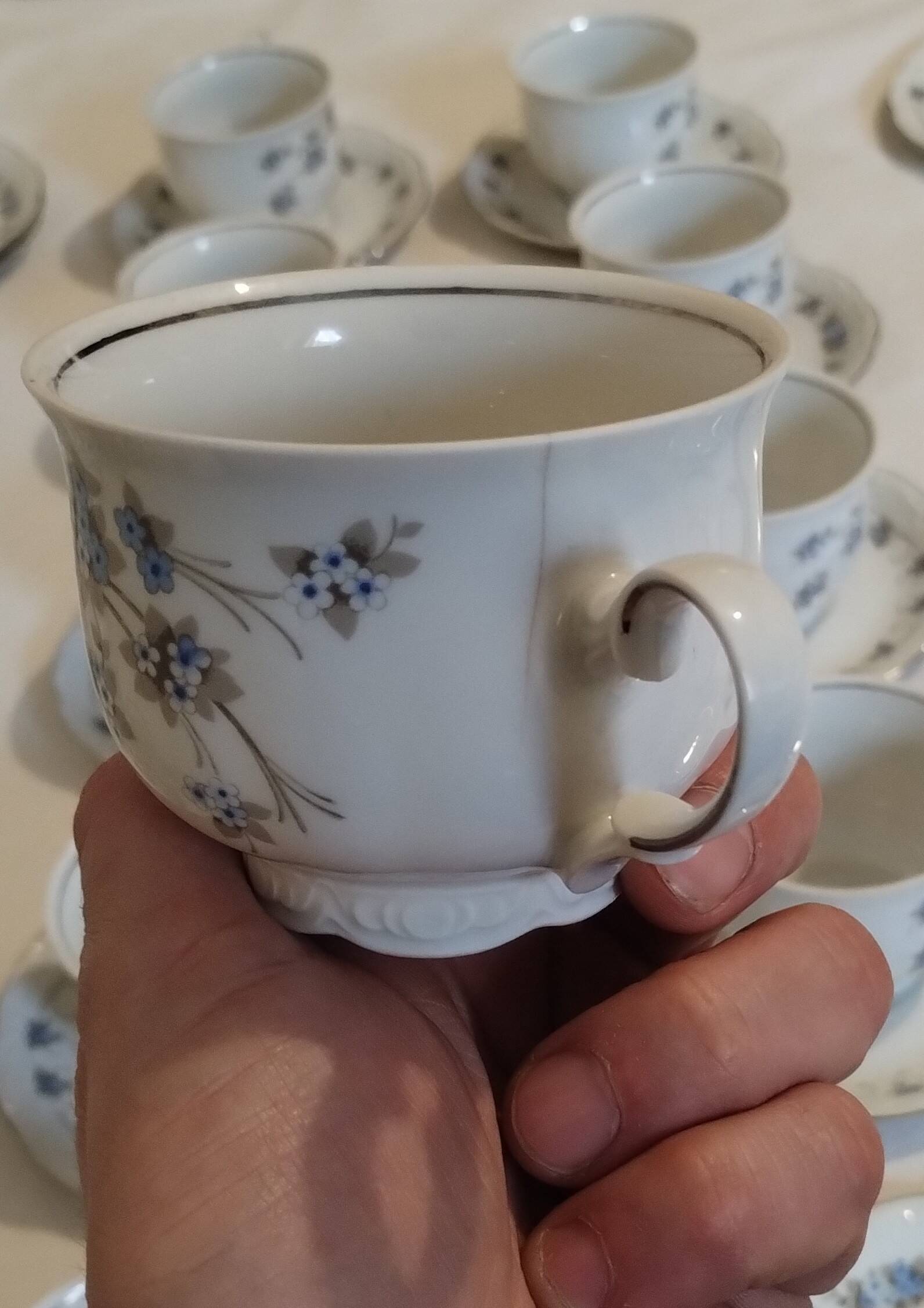 Mitterteich Bavaria Porcelain Coffee/Tea Set