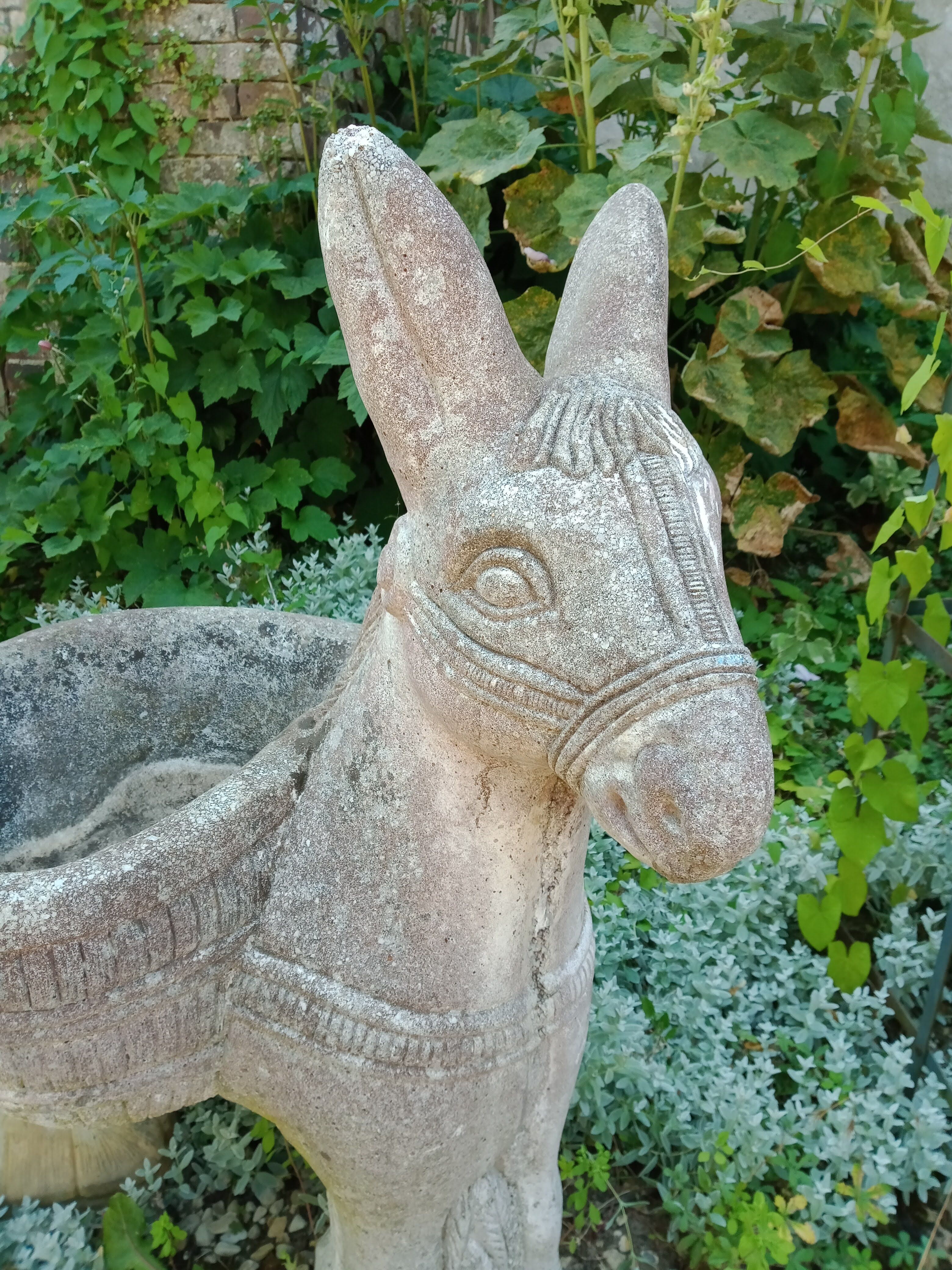 Cement donkey planter