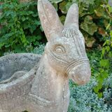 Cement donkey planter