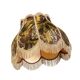 Decorative cushions