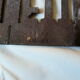 pediment enamelled plate CLEANING brown cast iron
