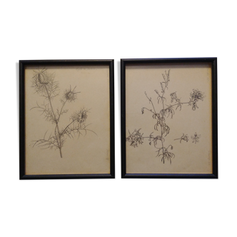 Botanical boards