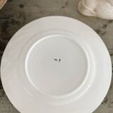 Green iron earth plate set