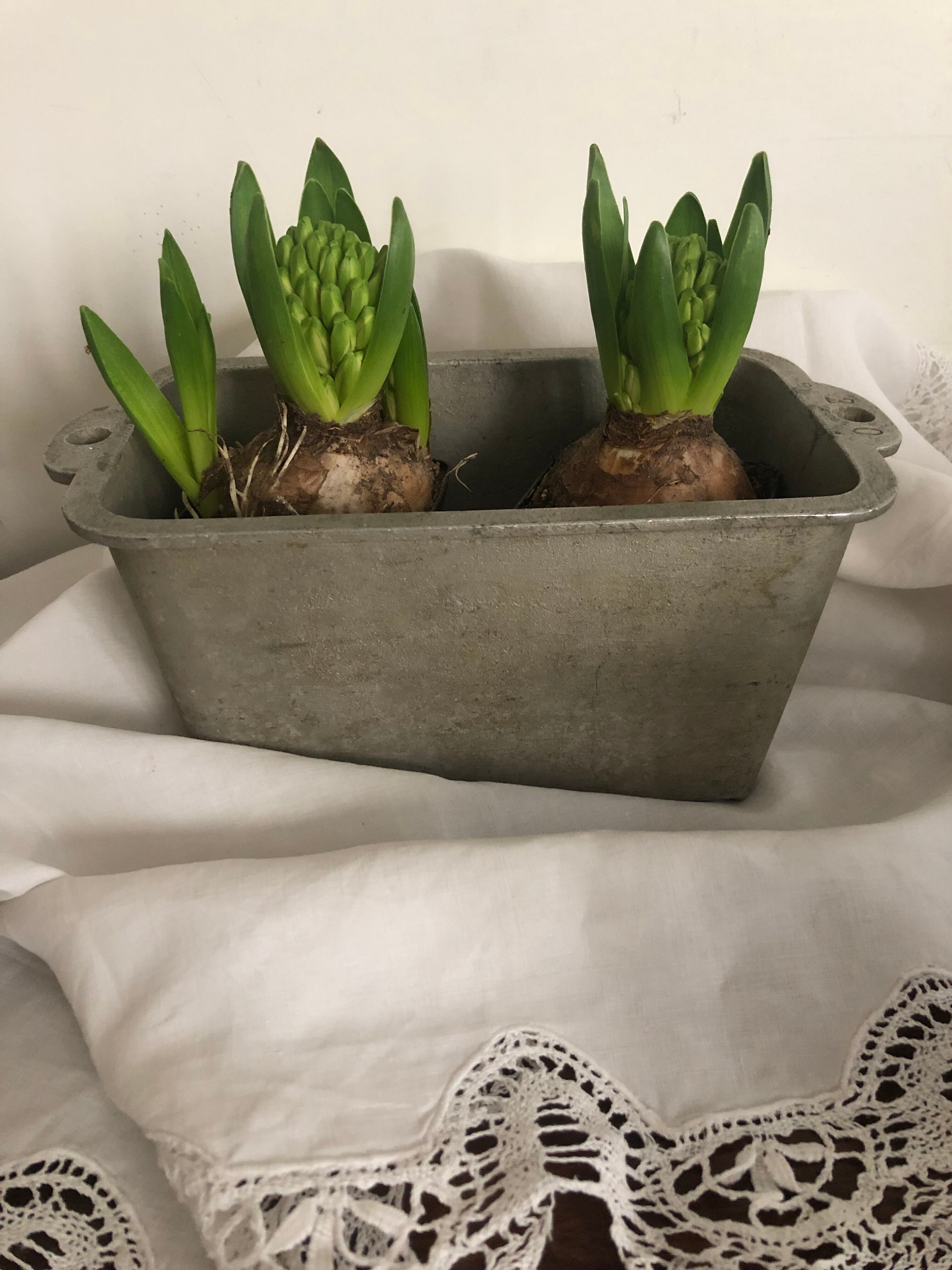 Planter