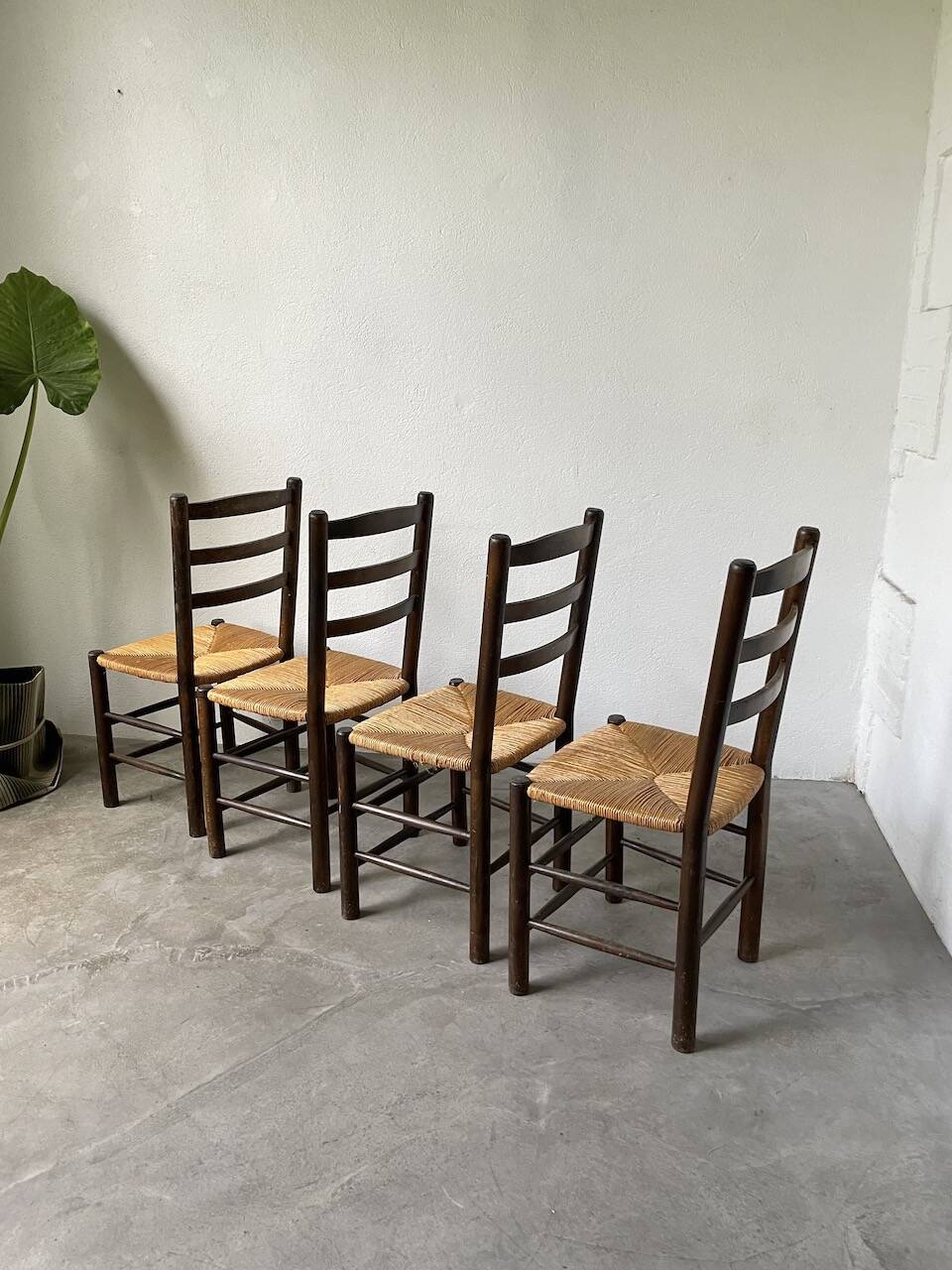 Set of 4 straw chairs from the 50s Dudouyt