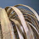 Brass palm tree floor lamp by Maison Jansen, 1970s