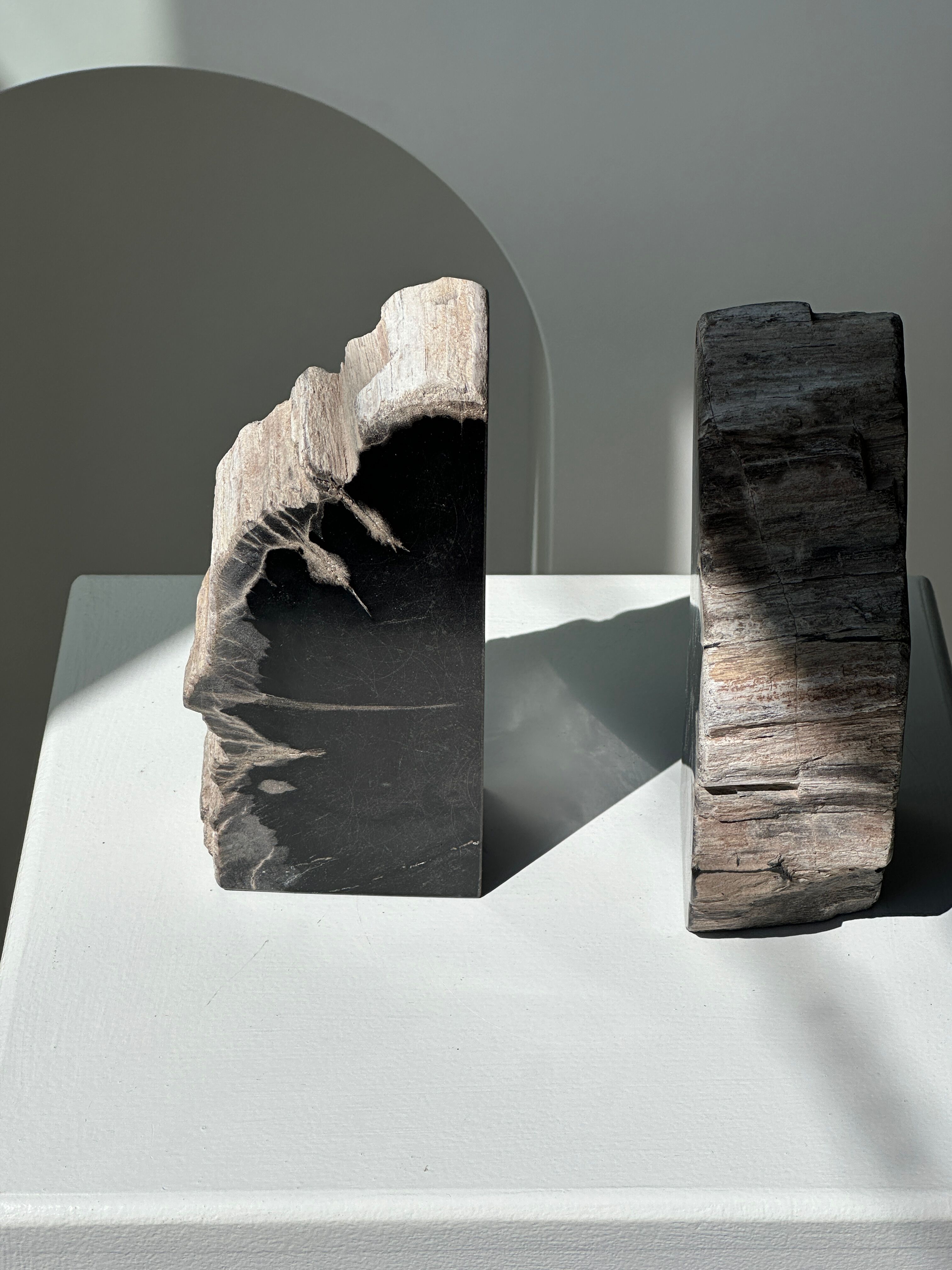 Black petrified wood bookend H17 L17 P6