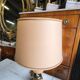 Ostrich egg lamp model australia
