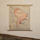 Old geography map / school map South America North America