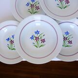 6 deep plates from Salins model Lily 2106202