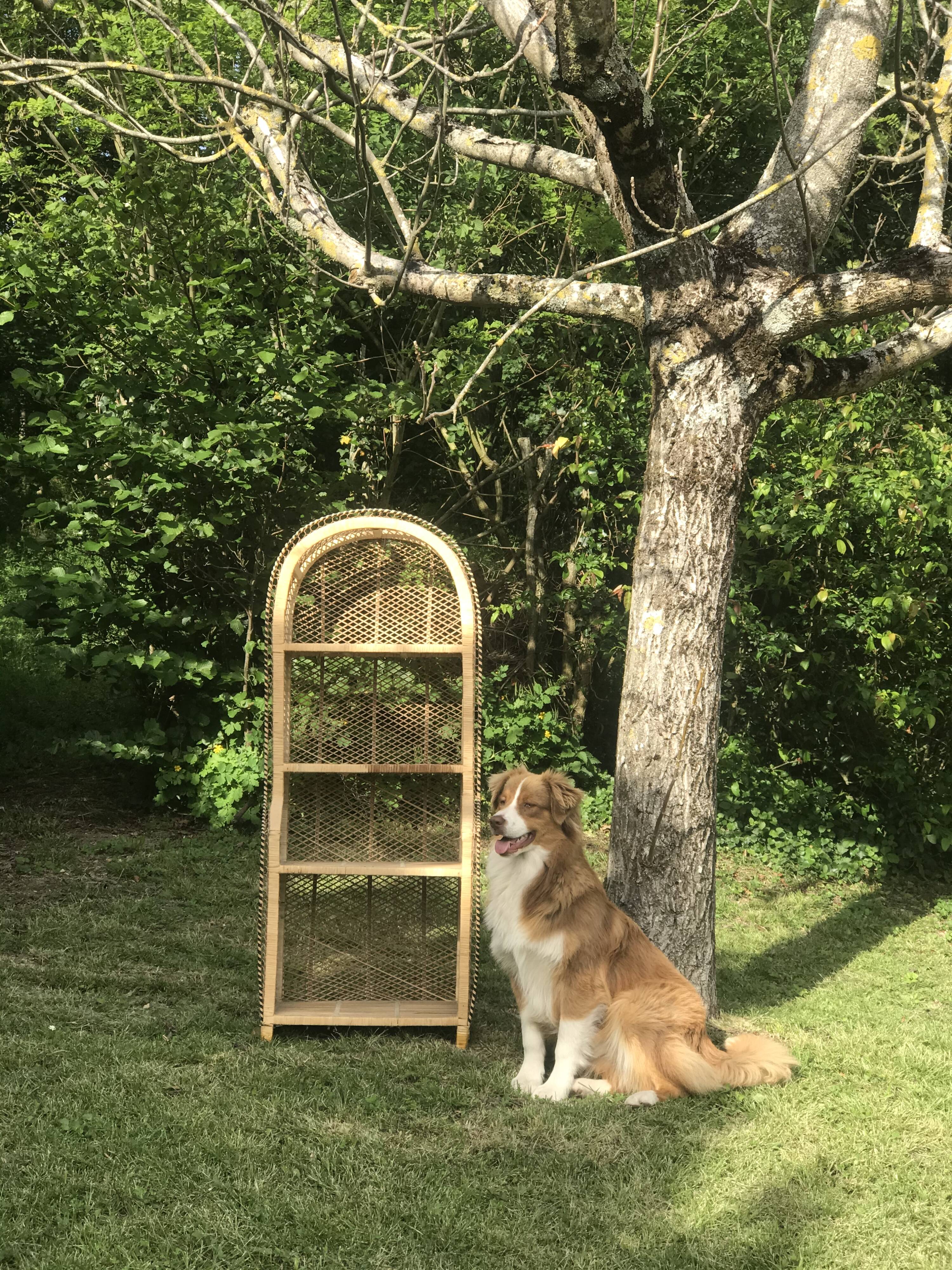 Vintage rattan cabinet
