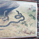 Old snake school map