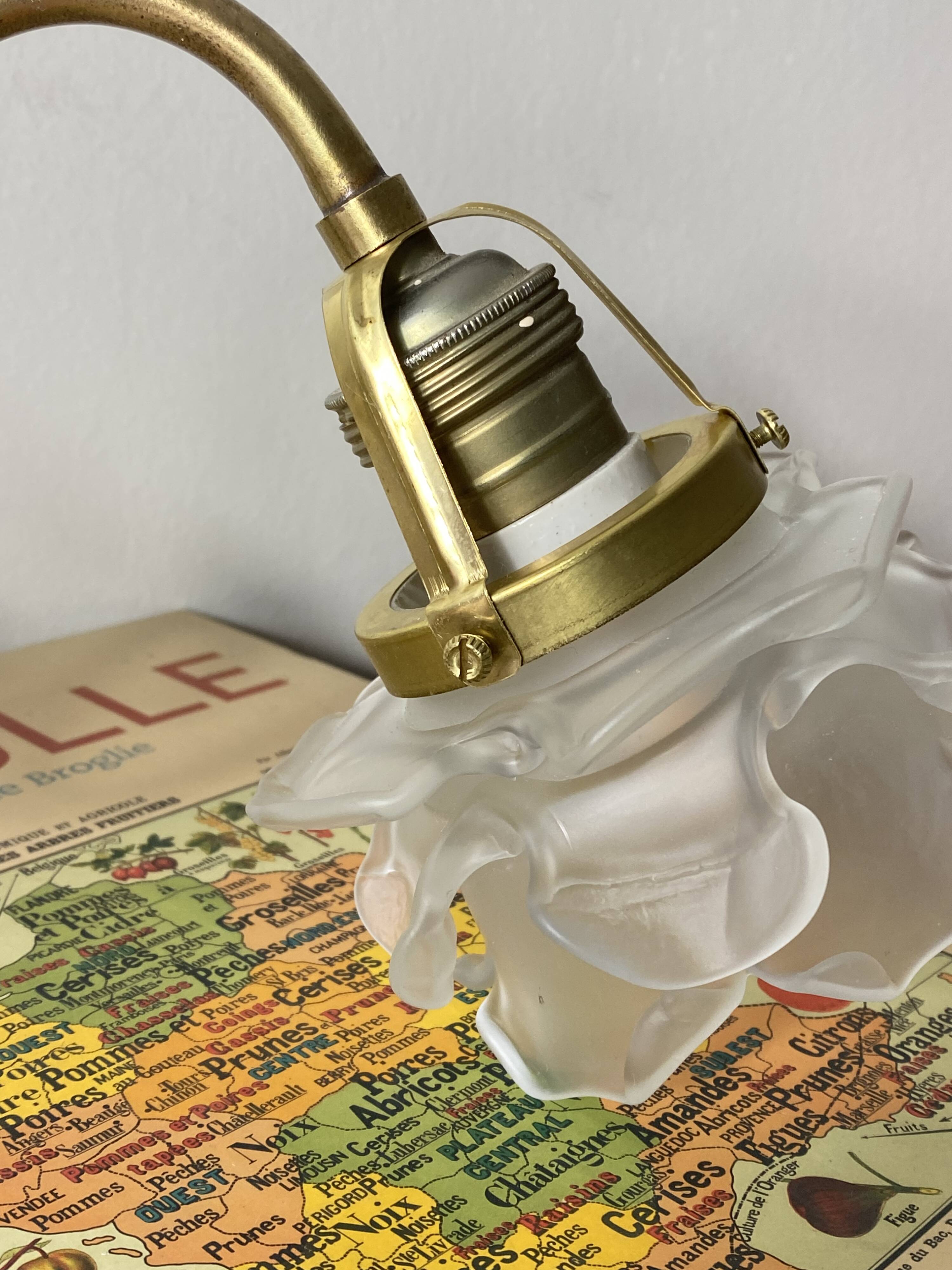 Swan neck wall light in brass with rose petal glass shade.