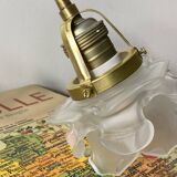 Swan neck wall light in brass with rose petal glass shade.