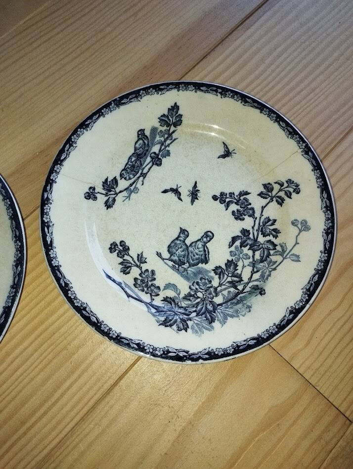 Flat Plates “Terre de Fer – The Chicks” (5 pieces)