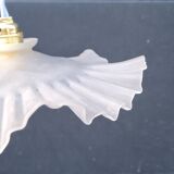 Frosted glass pendant light