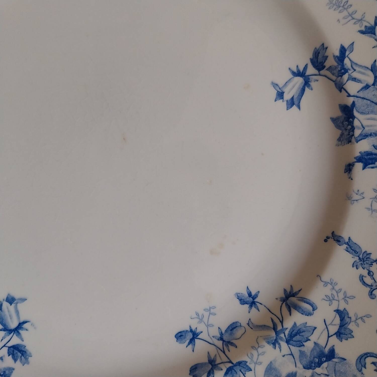 Large iron earth dish Campanules Saint Amand Hamage