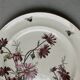 Set de 2 assiettes décor fleurs et abeilles, fin XIXème