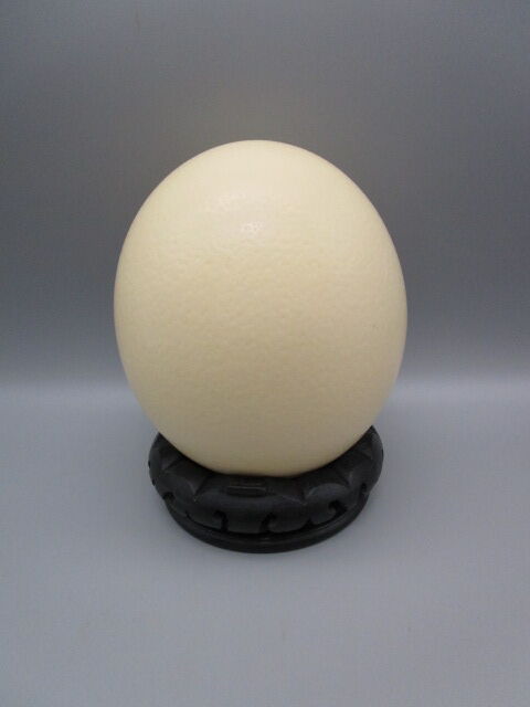Ostrich egg on pedestal