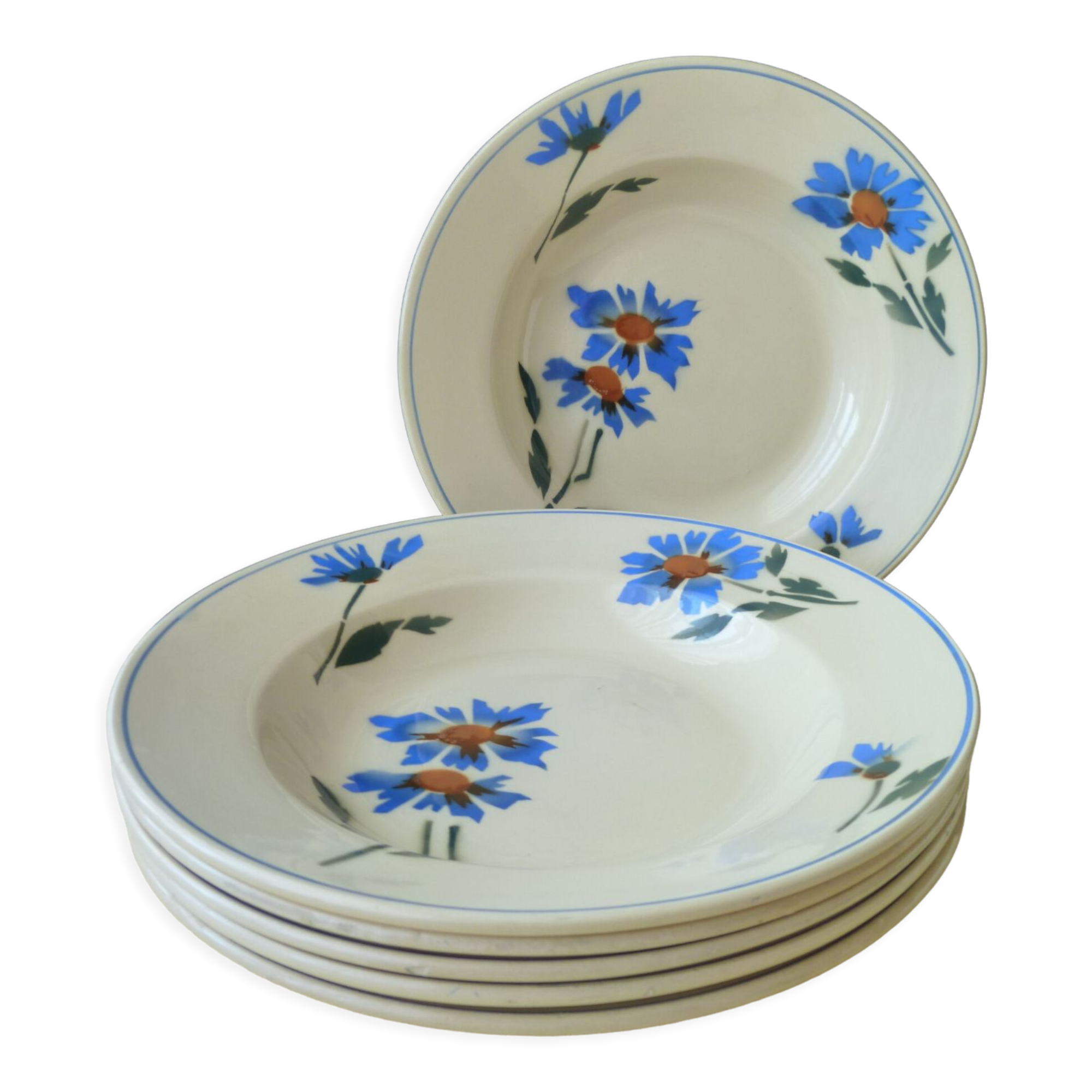 Set de 6 assiettes creuses en faience Vintage Décor de bleuets