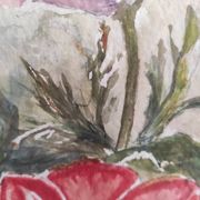 Aquarelle française de fleurs, coquelicots, signée DR