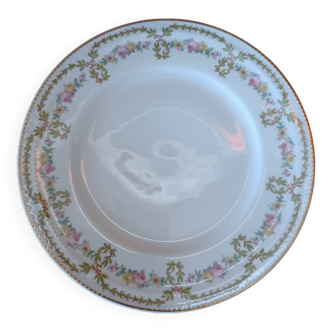 Haviland porcelain plate