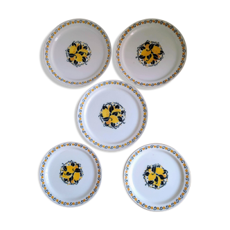Capri plates