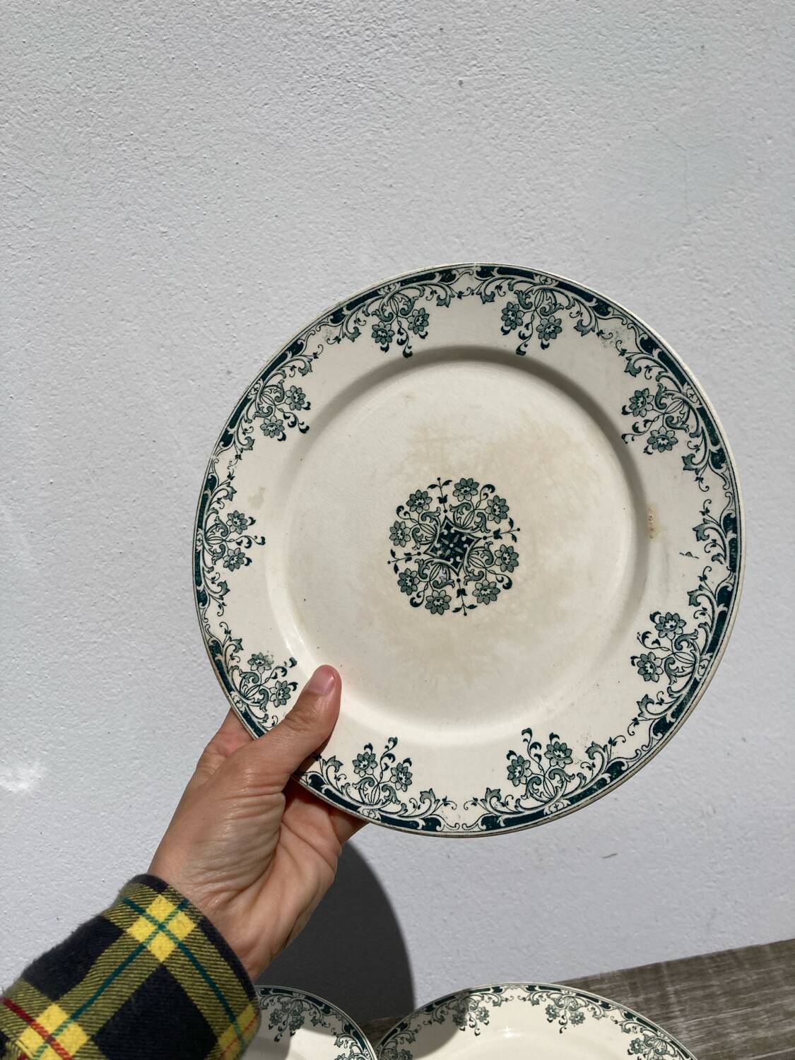 4 iron earth plates Mignon Sarreguemines