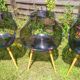 Lot of Opal Wox grey smoke chairs with beech legs.