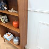Scandinavian Library