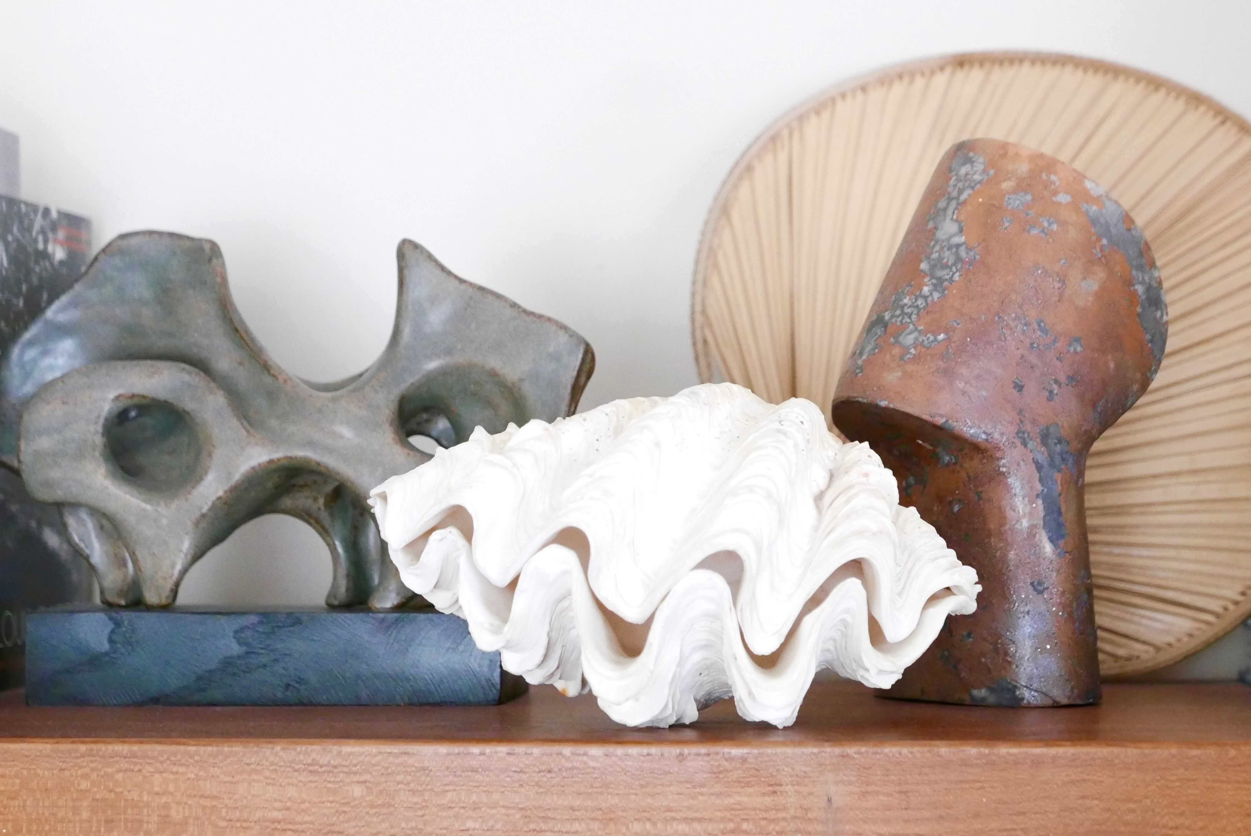 Benign shell for cabinet of curiosities, 70s