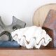 Benign shell for cabinet of curiosities, 70s