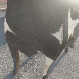 Louis XV cowskin style dresser