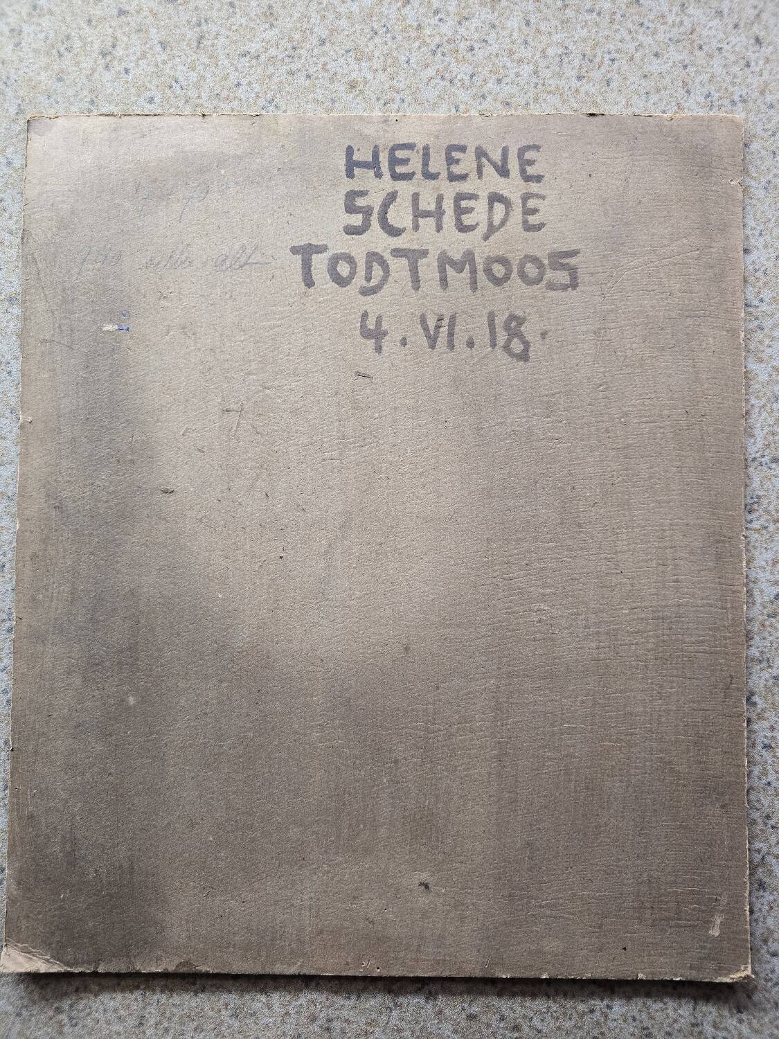 Portrait oil on cardboard