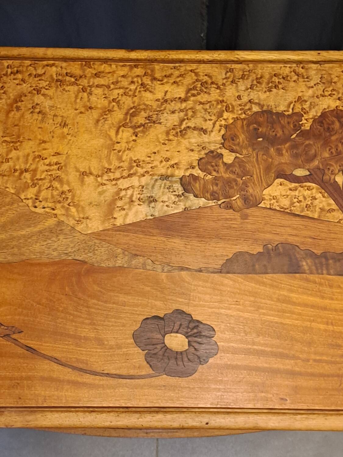 Art Nouveau coffee table with marquetry.