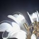 Murano white glass petal chandelier