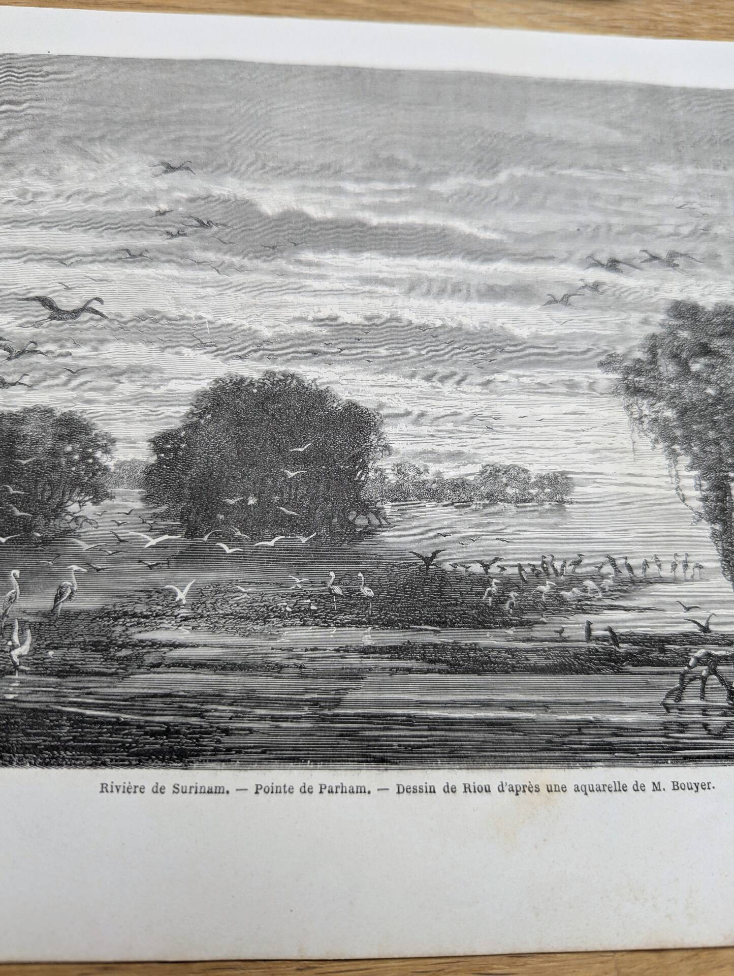 Suriname River, Parham. Printed illustration from 1866.