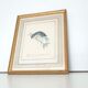 Golden frame engraving nightingale