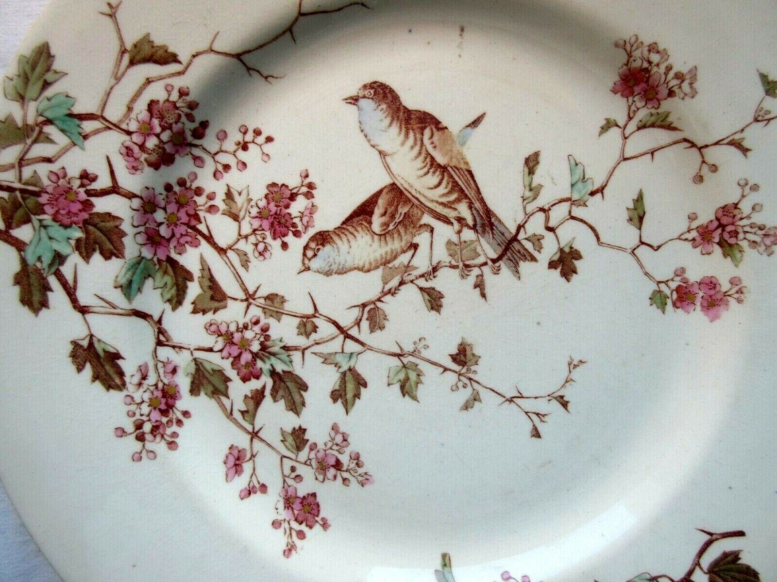 Plate earthenware of lunéville, les fauvettes